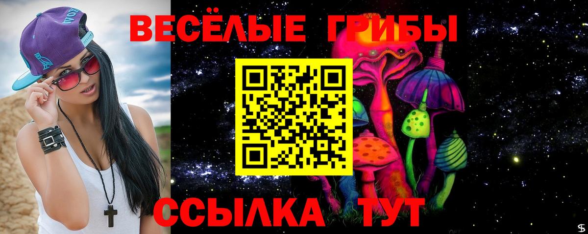 где продают   Галлюциногенные грибы Psilocybine cubensis  Вход с VPN  Кудымкар 