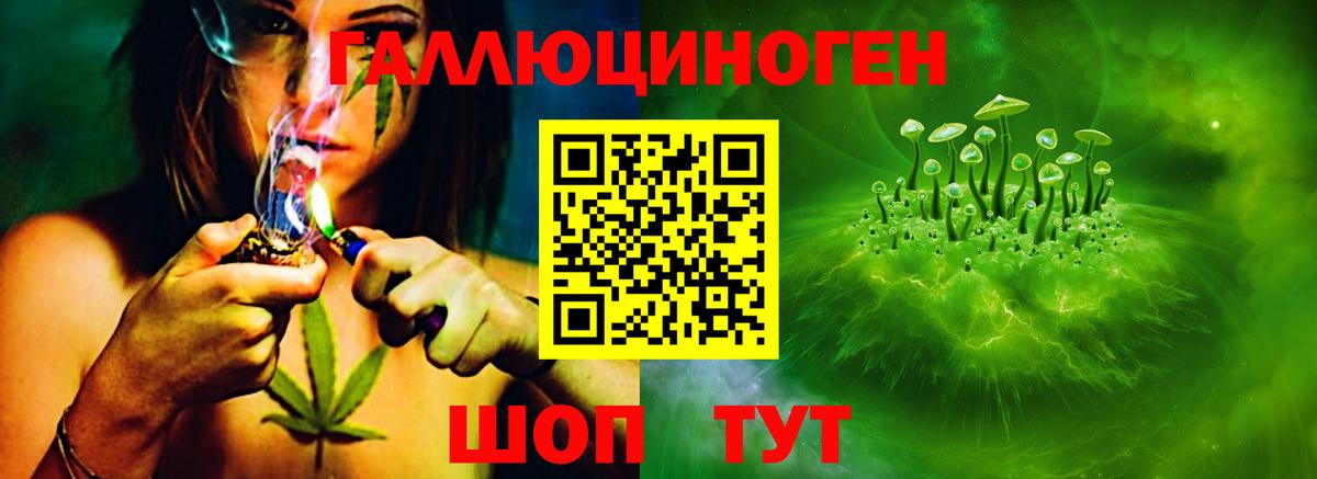 Галлюциногенные грибы GOLDEN TEACHER Кудымкар